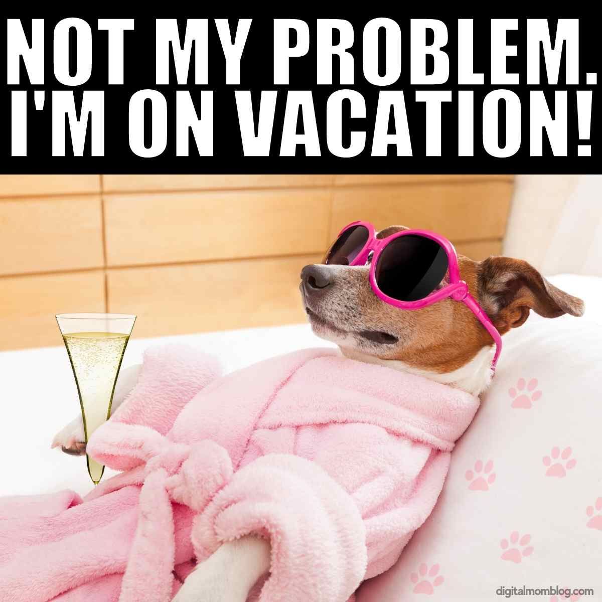 Best Vacation Memes