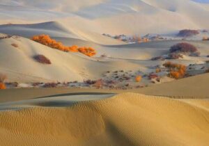 Saran Desert