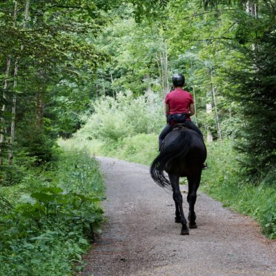 Is Horse Riding Worth Completing Your Trek?