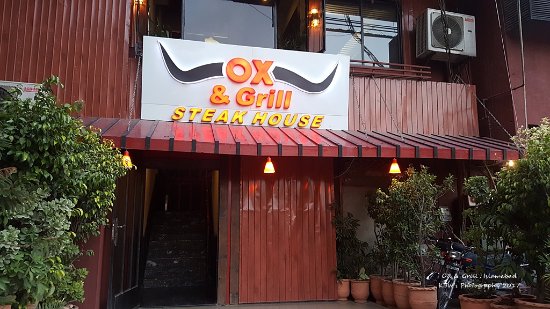 ox grill steak house