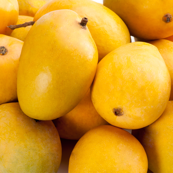 Types of Mangoes in Pakistan