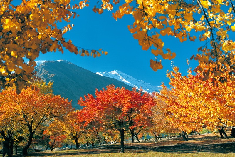 Autumn Season in Pakistan