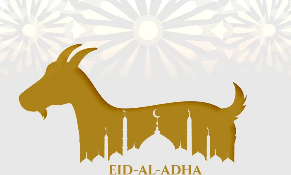 Different Types of Animals Slaughtered in Eid-ul-Adha